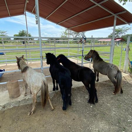 Hotel - Granja De Animales San Basilio De Palenque San Basilio del Palenque Exteriér fotografie