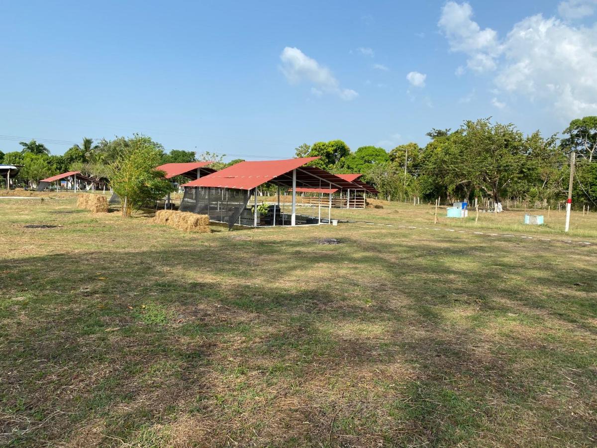 Hotel - Granja De Animales San Basilio De Palenque San Basilio del Palenque Exteriér fotografie