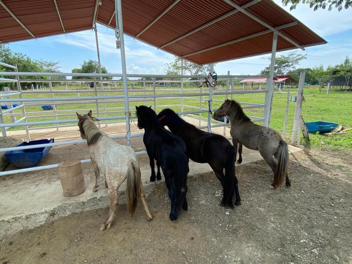Hotel - Granja De Animales San Basilio De Palenque San Basilio del Palenque Exteriér fotografie